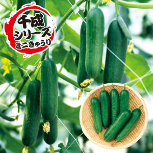 y\ 12`łzhJi琬i~jӉZj 100 ӉZ LE イ F1 ̎ y̎   ^l zyʏ5{ 5̂̓|Cg10{z