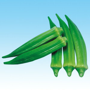  2dli2200j IN  F1 ̎ y̎   ^l zyʏ5{ 5̂̓|Cg10{z