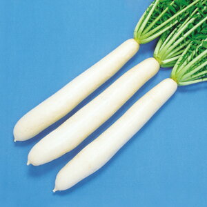 Y 2dl 卪 _CR  F1 ̎ y̎   ^l zyʏ5{ 5̂̓|Cg10{z