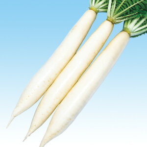 Y 2dl 卪 _CR  F1 ̎ y̎   ^l zyʏ5{ 5̂̓|Cg10{z