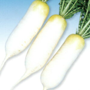 񑍑iZ^j 1 卪 _CR  F1 ̎ y̎   ^l zyʏ5{ 5̂̓|Cg10{z