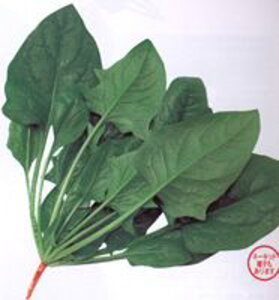 pbJ[ M3 ق @@ zE\E ق񂻂 F1 AbvV[hq ̎ y̎   ^l zyʏ5{ 5̂̓|Cg10{z