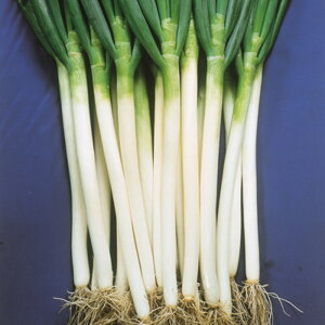 ďF{K 2dl K lM ˂ ̎ y̎   ^l zyʏ5{ 5̂̓|Cg10{z