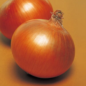 LY 20ml ʂ˂ ܂˂ ʔK ^}lM F1 ̎ y̎   ^l zyʏ5{ 5̂̓|Cg10{z
