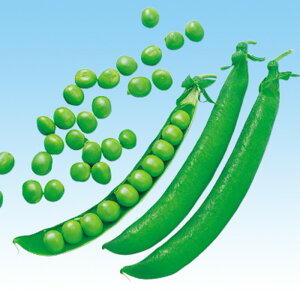 Os[X 1l ₦ǂ TGhE 氓 ̎ y̎   ^l zyʏ5{ 5̂̓|Cg10{z