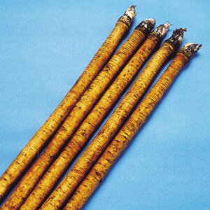  2dl  S{E ڂ ̎ y̎   ^l zyʏ5{ 5̂̓|Cg10{z