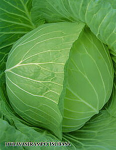 ΂ ybg 5000 Lxc mEz y{_ю   ^l zyʏ5{ 5̂̓|Cg10{z