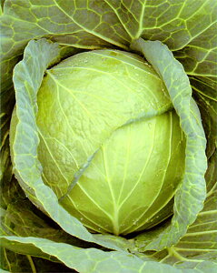  ybg 5000 Lxc mEz y{_ю   ^l zyʏ5{ 5̂̓|Cg10{z