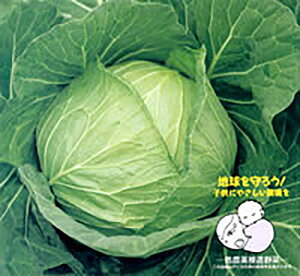 YCRb L_lFC 2500 Lxc mEz y{_ю   ^l zyʏ5{ 5̂̓|Cg10{z