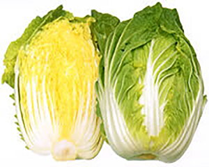 80 ybg 5000  nNTC ͂ mEz y{_ю   ^l zyʏ5{ 5̂̓|Cg10{z