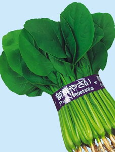 ]˂̏ L_lFC 2dl  R}ci ܂ mEz y{_ю   ^l zyʏ5{ 5̂̓|Cg10{z