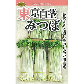 楽天市場 ミツバ 種子の通販