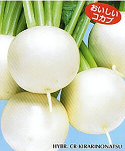 CR̉ L_lFC 1dl  Ju  mEz y{_ю   ^l zyʏ5{ 5̂̓|Cg10{z