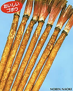 mE P L_l 2dl  S{E ڂy{_ю   ^l zyʏ5{ 5̂̓|Cg10{z