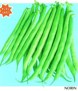 mE d݂ǂ2(閳) L_lFC 1L B CQ} 񂰂܂߁y{_ю   ^l zyʏ5{ 5̂̓|Cg10{z