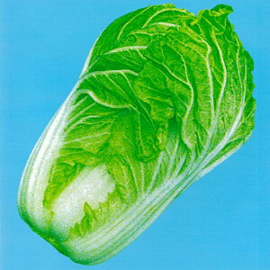 ꍆ 20ml  nNTC ͂y̎   ^l zyʏ5{ 5̂̓|Cg10{z