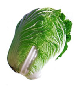 h 10ml  nNTC ͂y̎   ^l zyʏ5{ 5̂̓|Cg10{z
