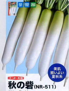 H̍ 1000 卪 _CR yig   ^lzyʏ5{ 5̂̓|Cg10{z