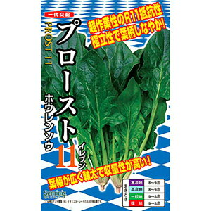 v[Xg11 PRM3 ق @@ zE\E ق񂻂yig   ^lzyʏ5{ 5̂̓|Cg10{z