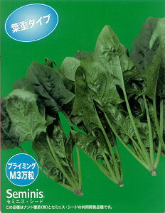 KIZu PRM3 ق @@ zE\E ق񂻂yig   ^lzyʏ5{ 5̂̓|Cg10{z