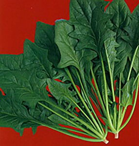 XN[v PRM3 ق @@ zE\E ق񂻂yig   ^lzyʏ5{ 5̂̓|Cg10{z