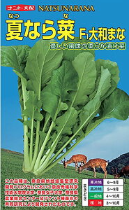 f1 a^ ĂȂ 2dl a܂ a^ Ԃ܂ }g}iyig   ^lzyʏ5{ 5̂̓|Cg10{z