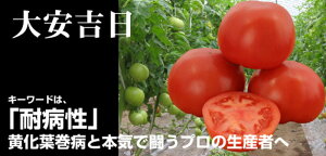 g 500 g}g Ƃ܂ ׉ yig   ^l zyʏ5{ 5̂̓|Cg10{z