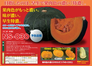 nj[uE NS-030 500 Z J{` ڂ yig   ^l zyʏ5{ 5̂̓|Cg10{z
