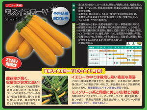 YbL[j@XCG[V 100 Z J{` ڂ yig   ^l zyʏ5{ 5̂̓|Cg10{z