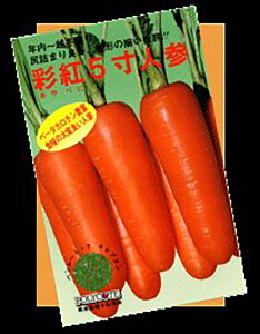 ʍg5(xbg) 1 jW ɂ񂶂 lQy쌴c   ^lzyʏ5{ 5̂̓|Cg10{z