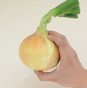 XvO[ 100g c琬 ʂ˂ ܂˂ ʔK ^}lM ɑiycc   ^l zyʏ5{ 5̂̓|Cg10{z