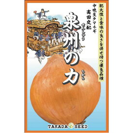 泉州の力 100g 中晩生品種 玉ねぎ たまねぎ 玉葱 タマネギ 高田交配【高田種苗 種 たね タネ 】【通常5倍 5のつく日はポイント10倍】