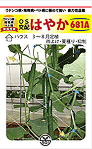 ͂₩(681-A) 350 ӉZ LE イyV[h   ^l zyʏ5{ 5̂̓|Cg10{z