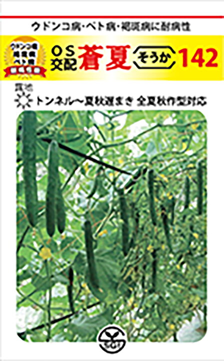 楽天市場 蒼夏 そうか 142 350粒 胡瓜 キュウリ きゅうり シード 種 たね タネ 通常5倍 5のつく日はポイント10倍 全国種苗出荷センター