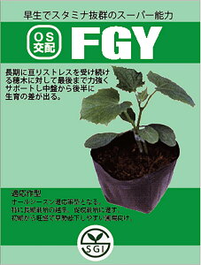 fgy 350  _CM yV[h   ^l zyʏ5{ 5̂̓|Cg10{z