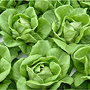 T_i JP2 R[g 5000 ^XyVWF^ ?  ^lzyʏ5{ 5̂̓|Cg10{ΏۊOi|Cg3{Œ菤iz