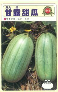 암ØI[Z 20mll ߂  rZysc   ^lzyʏ5{ 5̂̓|Cg10{z