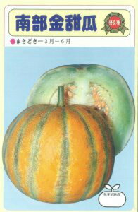 암[Z 20mll ߂  rZysc   ^lzyʏ5{ 5̂̓|Cg10{z