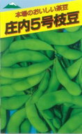 茶豆5号 1L詰 枝豆 えだまめ エダマメ【佐藤政行種苗 種 たね タネ】【通常5倍 5のつく日はポイント10倍】