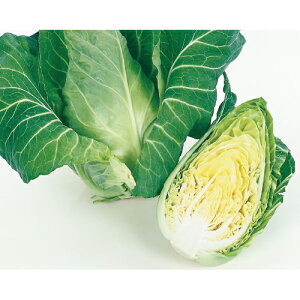 ݂ 20ml LxcyTJ^   ^lzyʏ5{ 5̂̓|Cg10{z