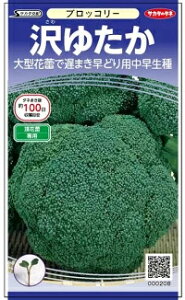 䂽 ybg5000 ubR[yTJ^   ^lzyʏ5{ 5̂̓|Cg10{z