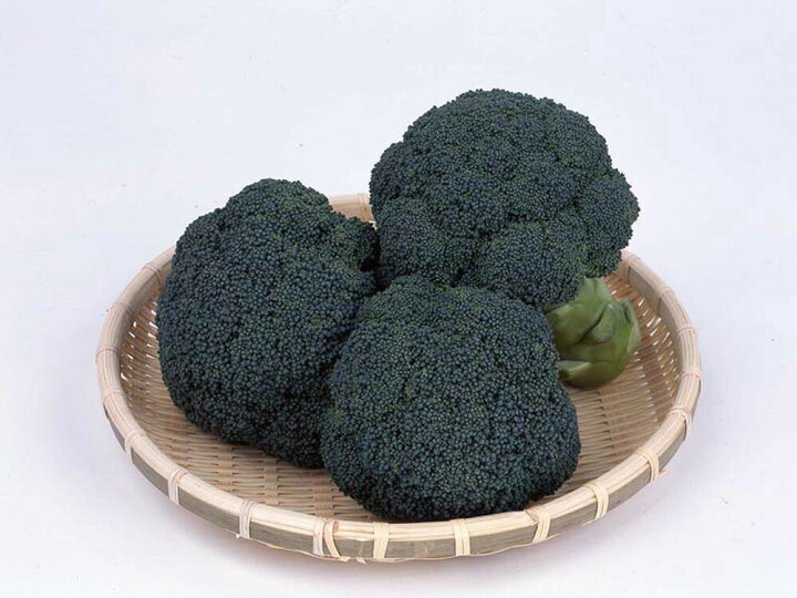 楽天市場 Sk9 099 ペレット5000粒 ブロッコリー サカタ交配 サカタ 種 たね タネ 通常5倍 5のつく日はポイント10倍 全国種苗出荷センター