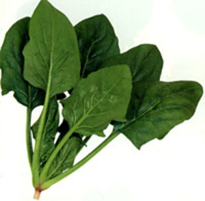 gbh @@ 1L ق @@ zE\E ق񂻂yTJ^   ^lzyʏ5{ 5̂̓|Cg10{z