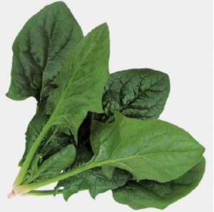 PRIMAX ~[W @@ M3 ق @@ zE\E ق񂻂yTJ^   ^lzyʏ5{ 5̂̓|Cg10{z