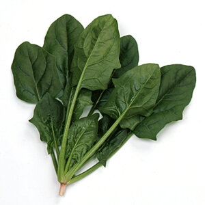 PRIMAX IVX @@ L2 ق @@ zE\E ق񂻂yTJ^   ^lzyʏ5{ 5̂̓|Cg10{z