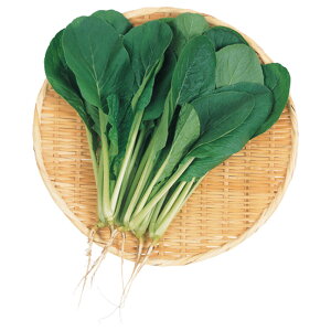 Ȃނ  2dl  R}ci ܂ȁyTJ^   ^lzyʏ5{ 5̂̓|Cg10{z