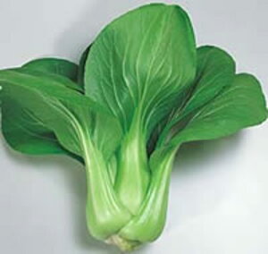 `QTC 2dl [ `Q `QTC 񂰂񂳂yTJ^   ^lzyʏ5{ 5̂̓|Cg10{z