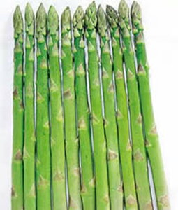 EFJ PVP AXpKX 1dl AXpKXyTJ^   ^lzyʏ5{ 5̂̓|Cg10{z