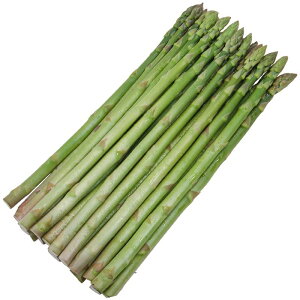 AXpKX |[g 2dl AXpKXyTJ^   ^lzyʏ5{ 5̂̓|Cg10{z