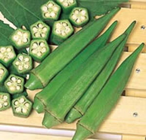 ピークファイブオクラ 2dl オクラ おくら 【サカタ 種 たね タネ】【通常5倍 5のつく日はポイント10倍】